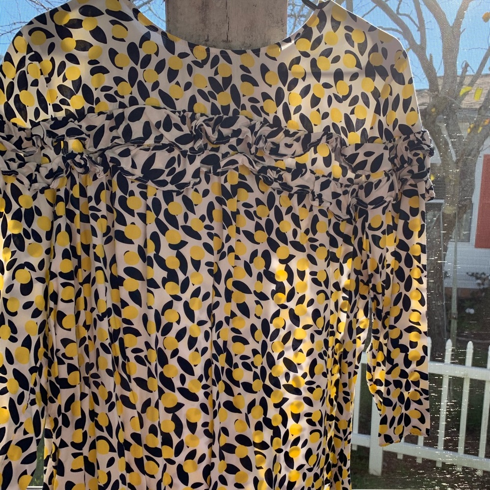 Like Lemons???? - Picture 2 of 3